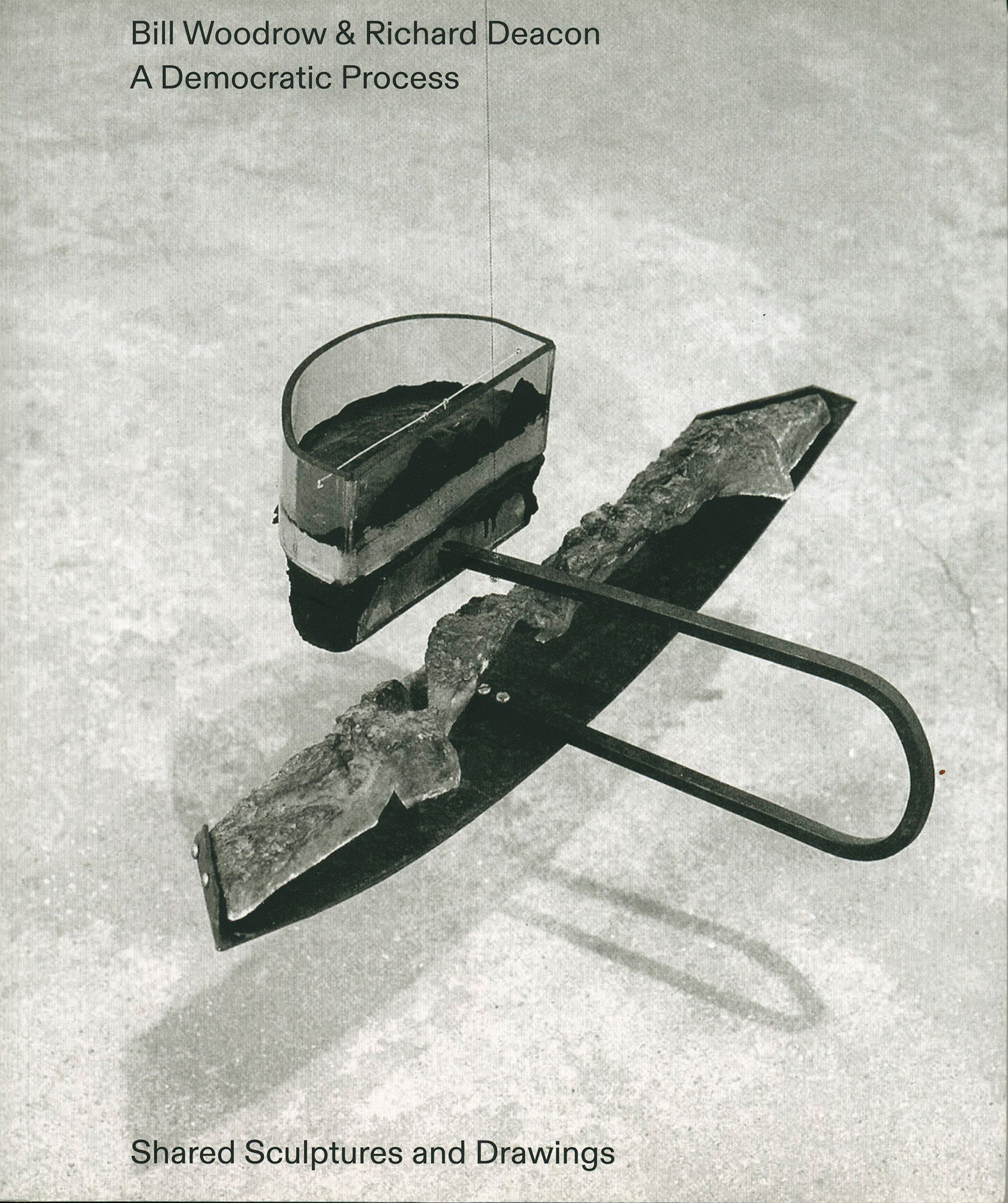 Book — A Democratic Process