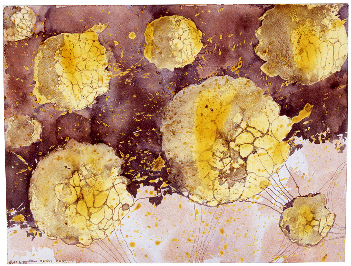Pollen Drawing 1
