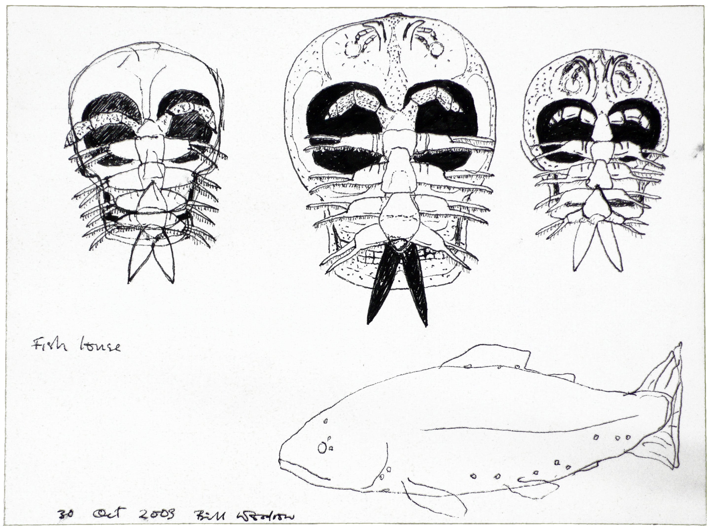 Drawing for “Pond Life” 1