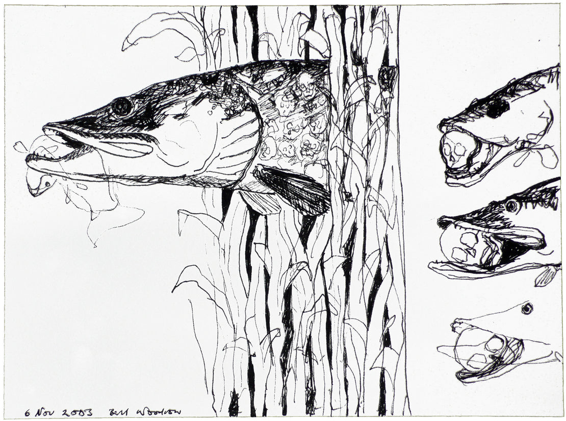 Drawing for “Pond Life” 3
