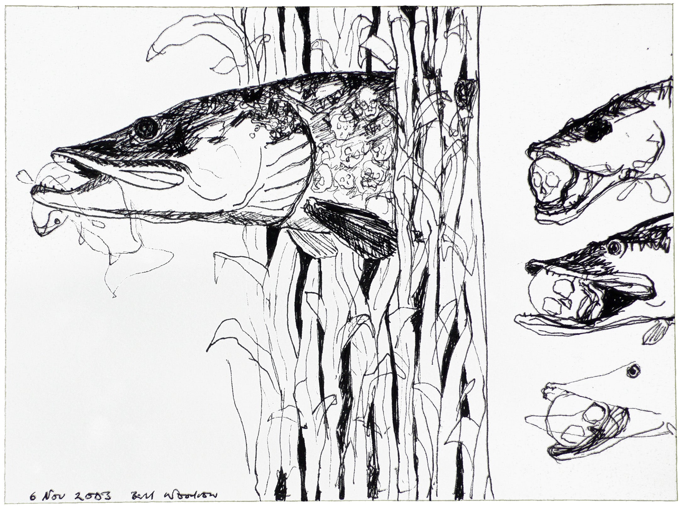 Drawing for “Pond Life” 3