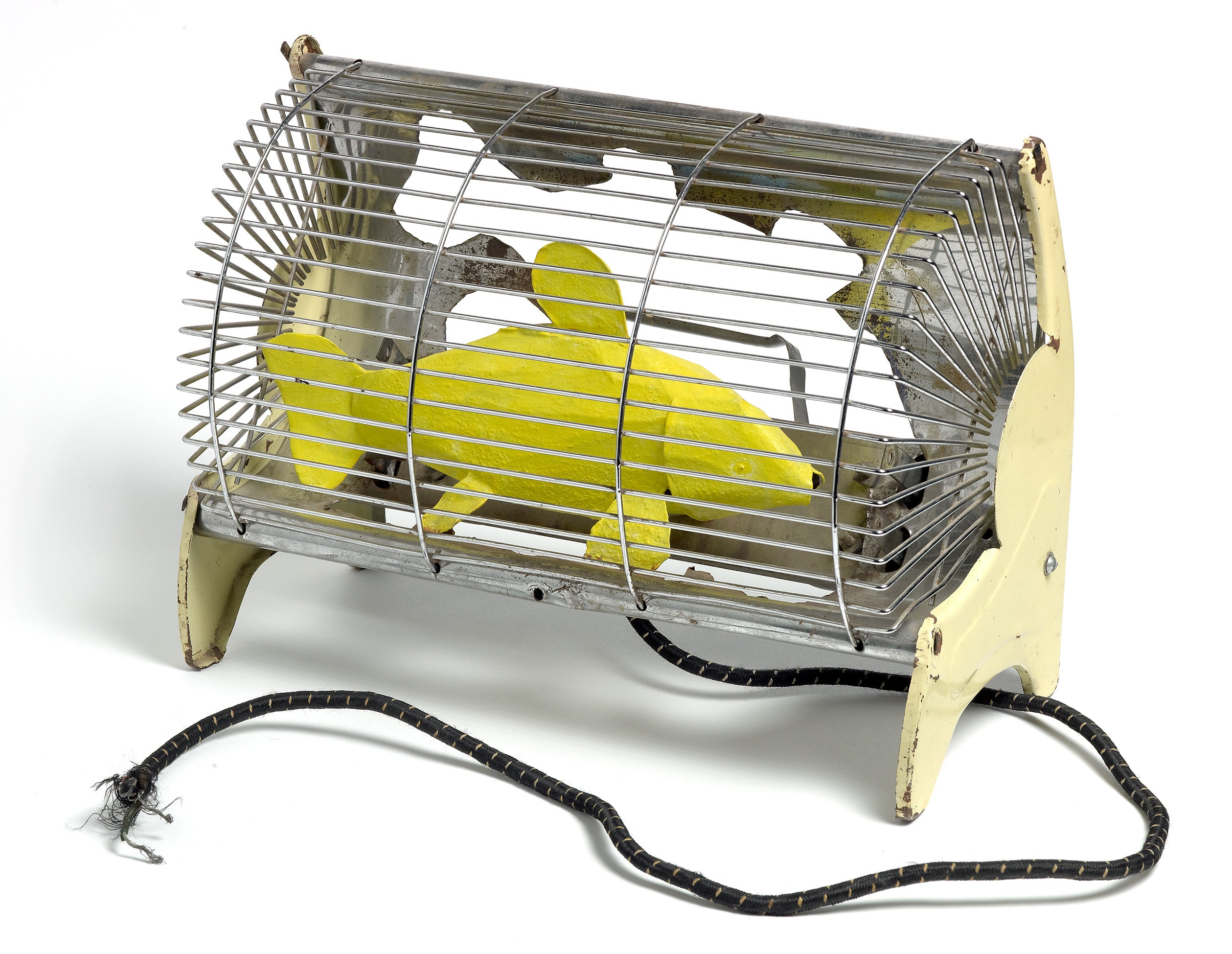 Electric Fire with Yellow Fish