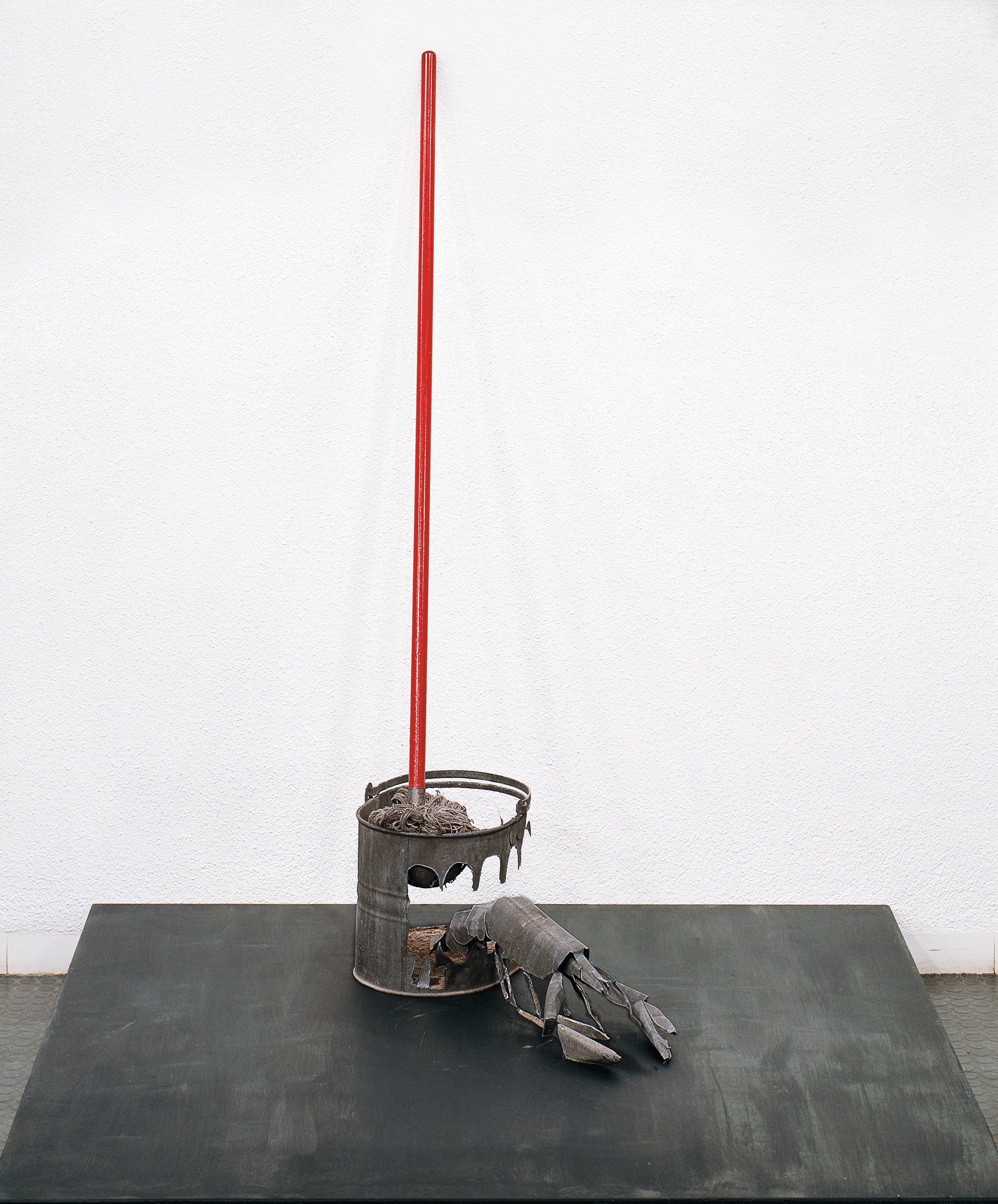 Bucket, Mop and Lobster