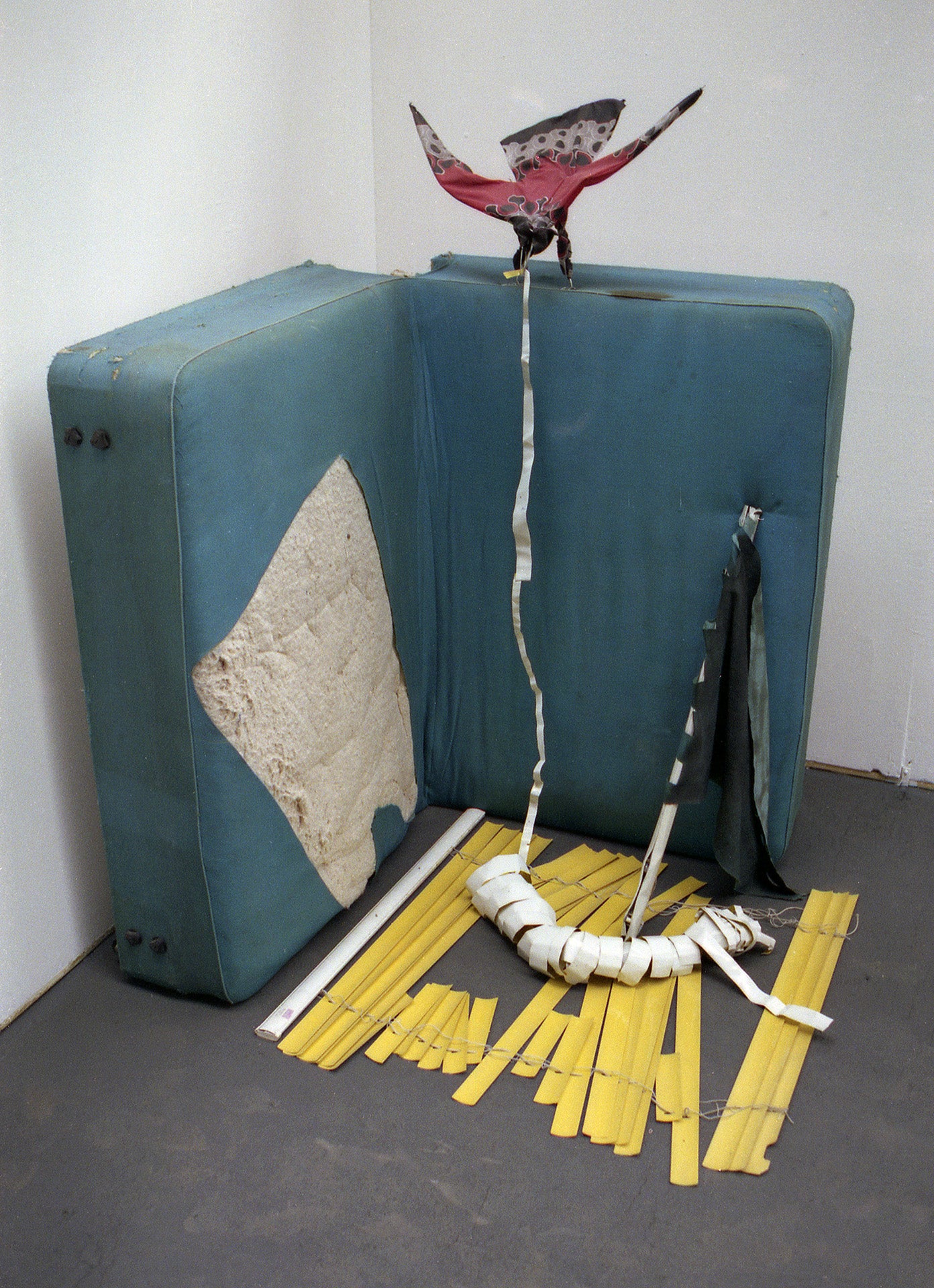 Bandage, Bird and Flag