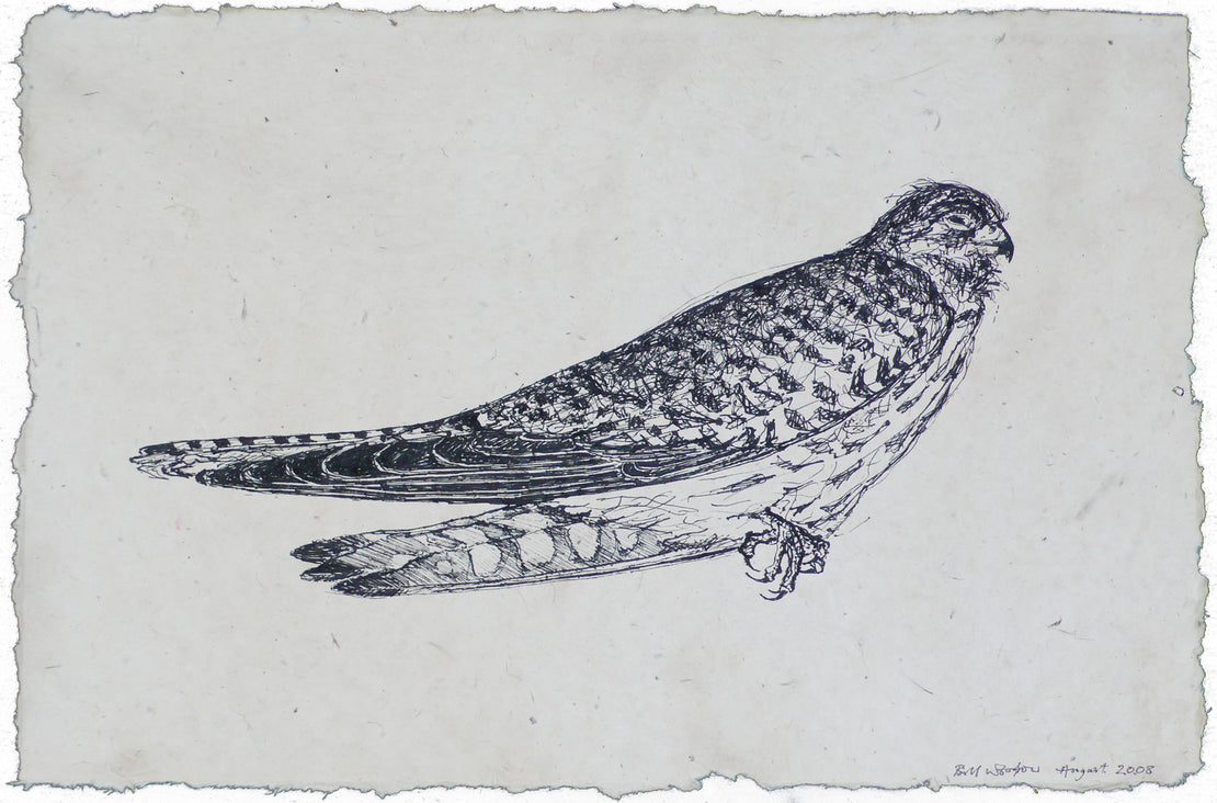 Kestrel