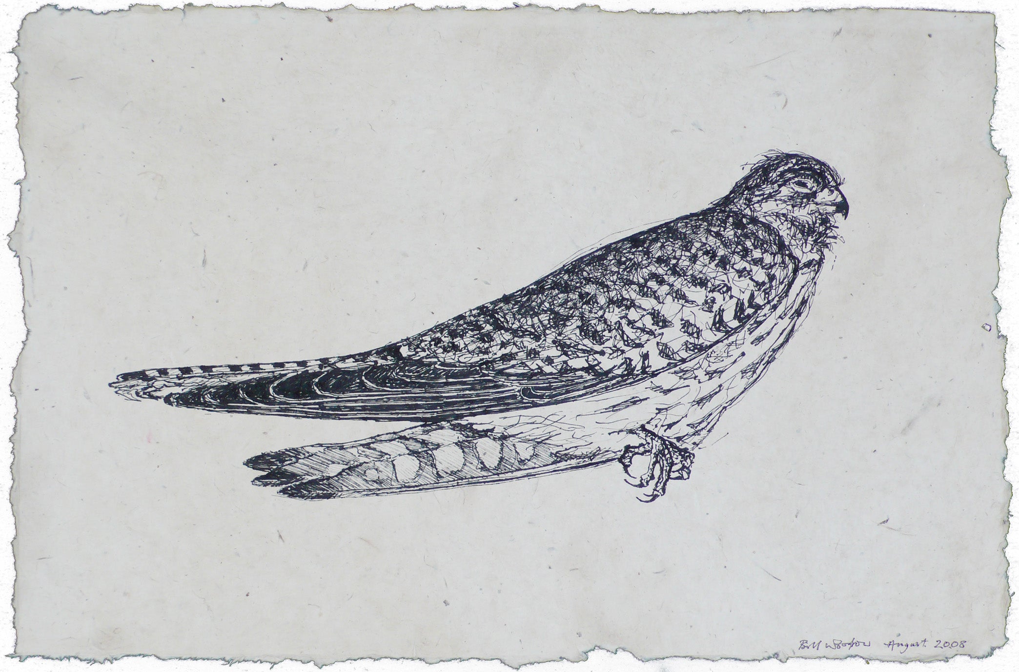 Kestrel