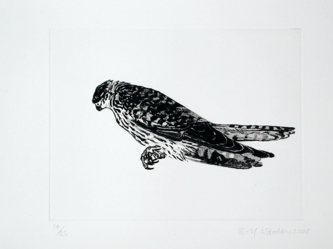 Kestrel