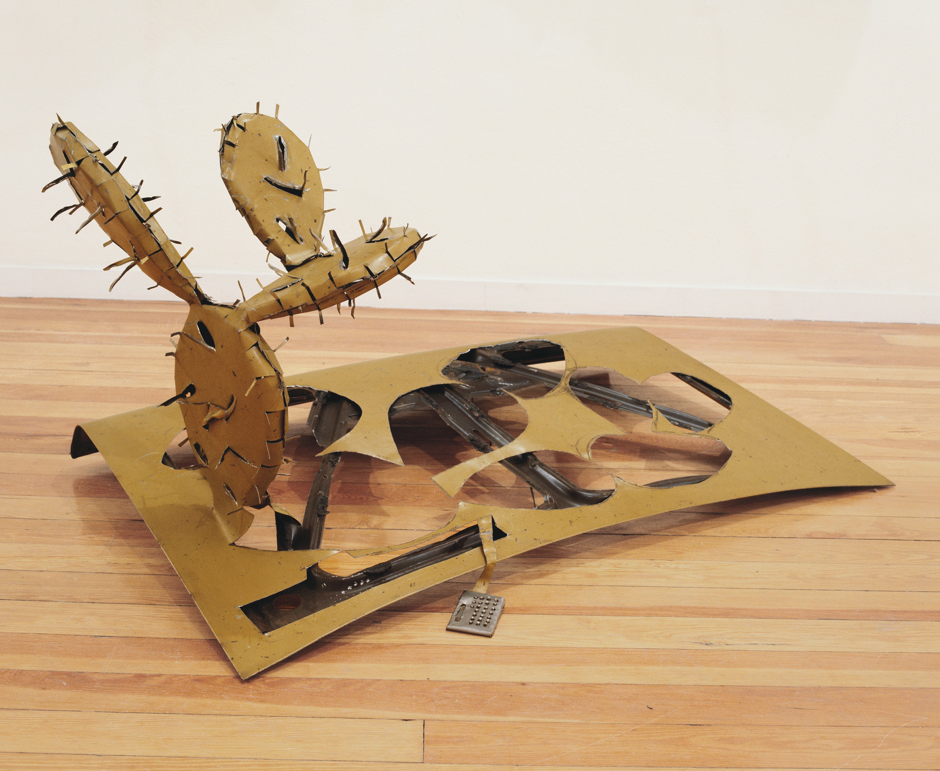 Cactus and Calculator