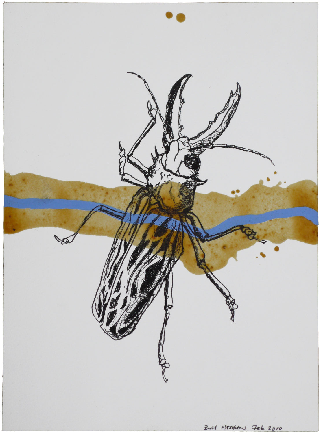 Insect 1