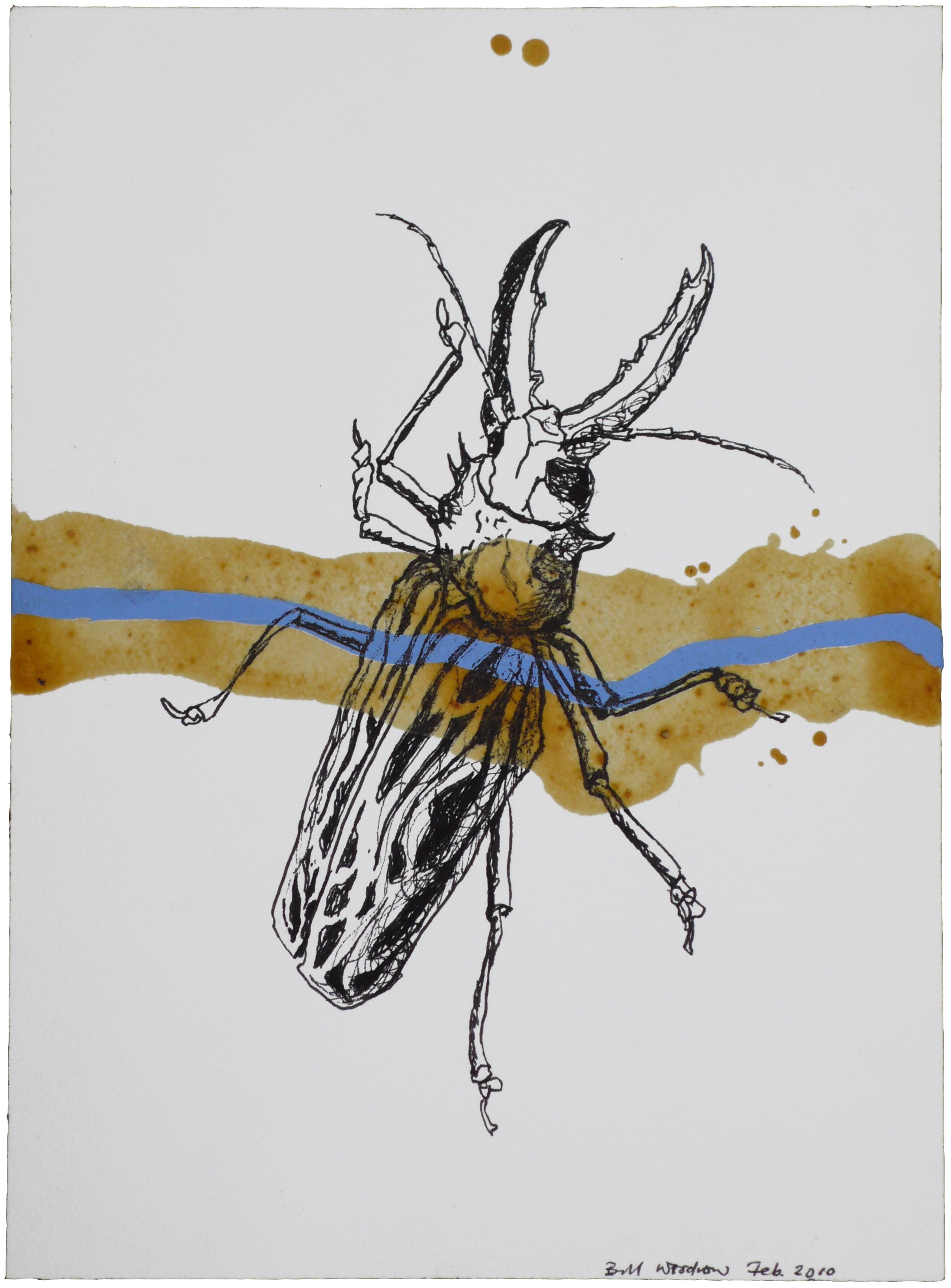 Insect 1