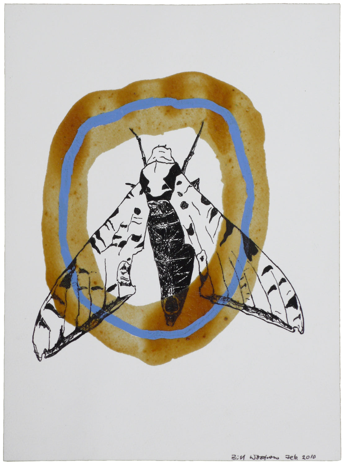 Insect 2