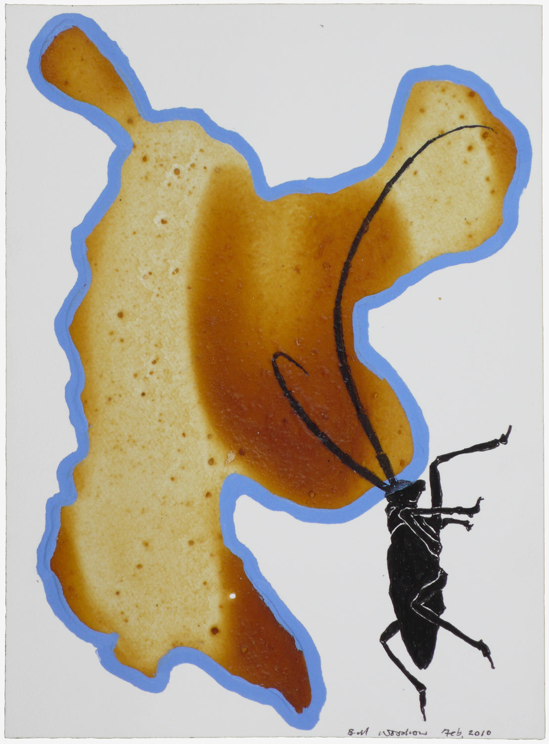 Insect 3