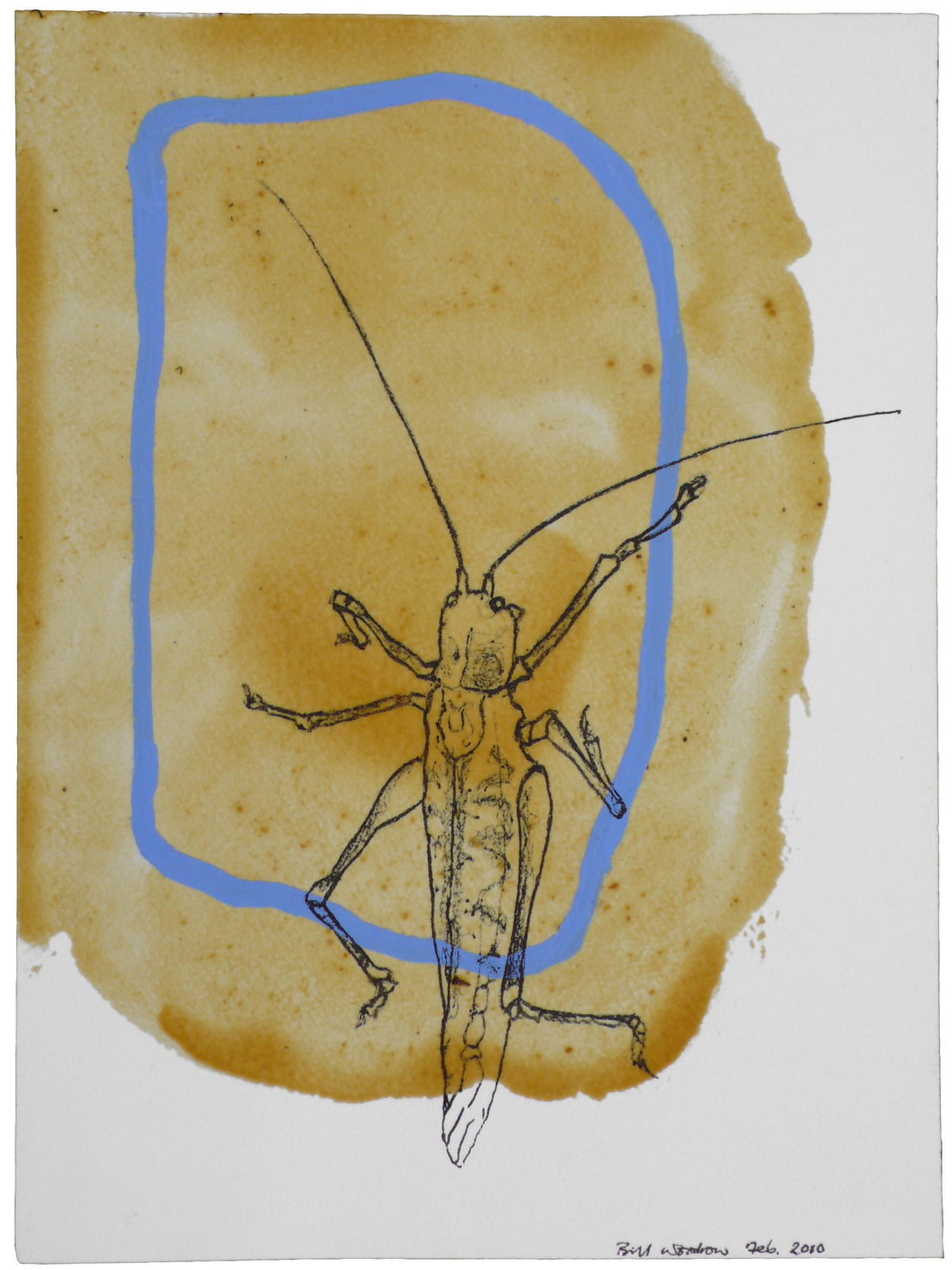 Insect 4