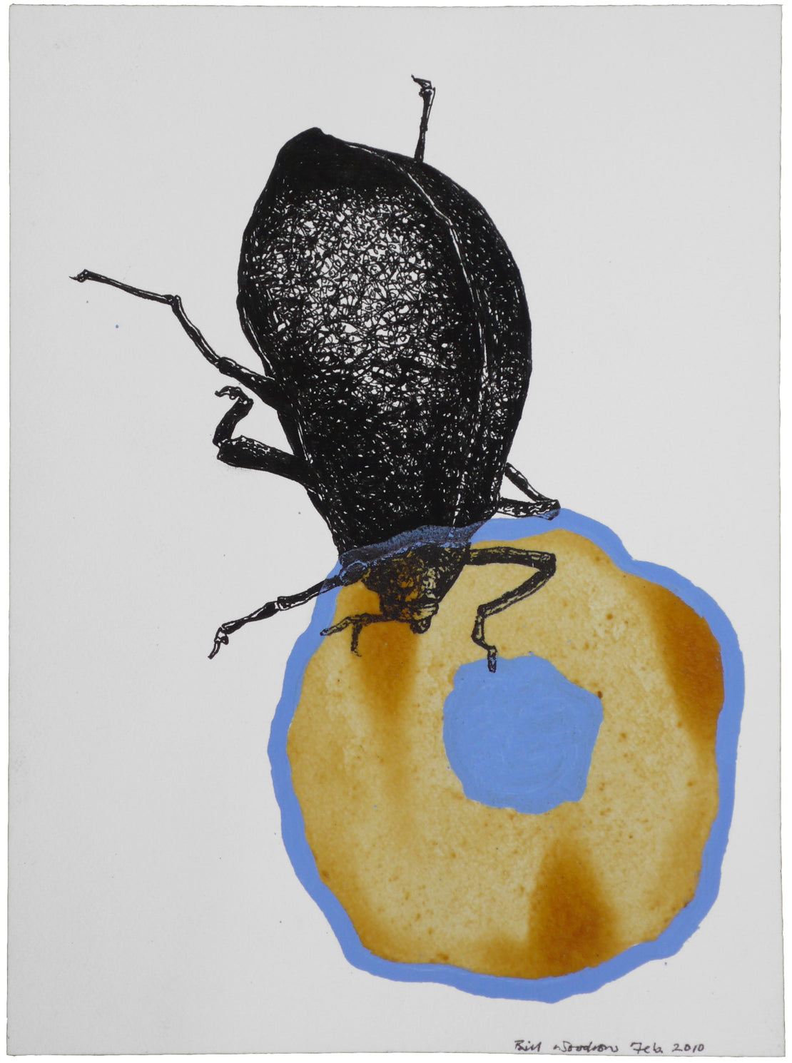 Insect 6