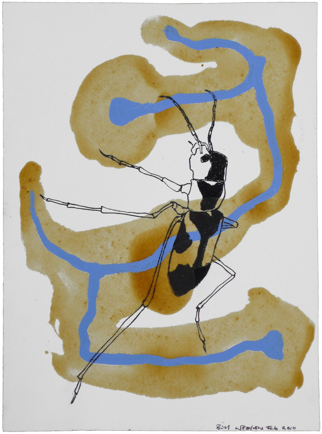 Insect 7