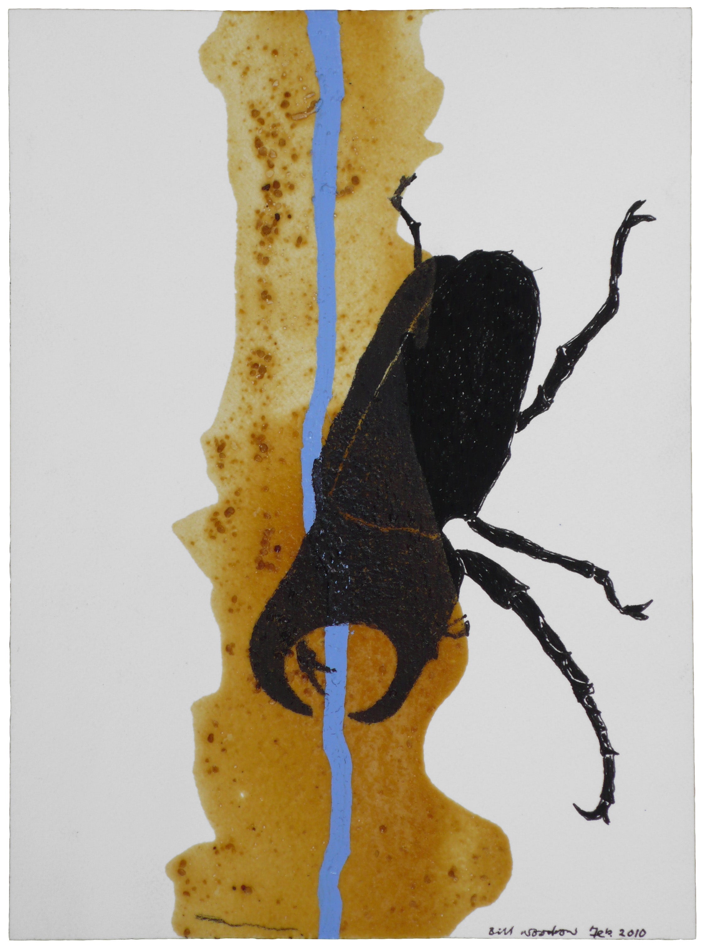 Insect 8