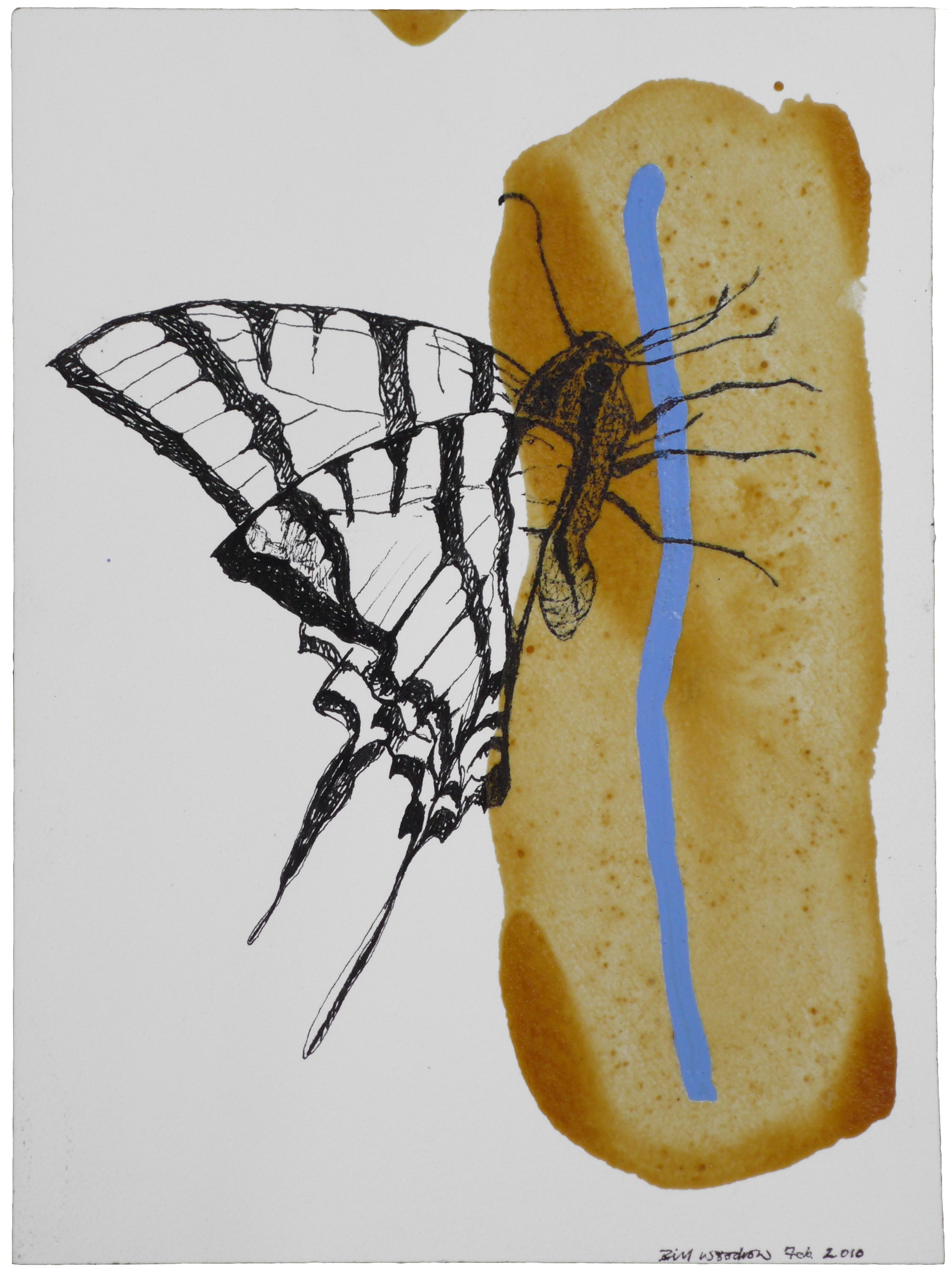 Insect 9