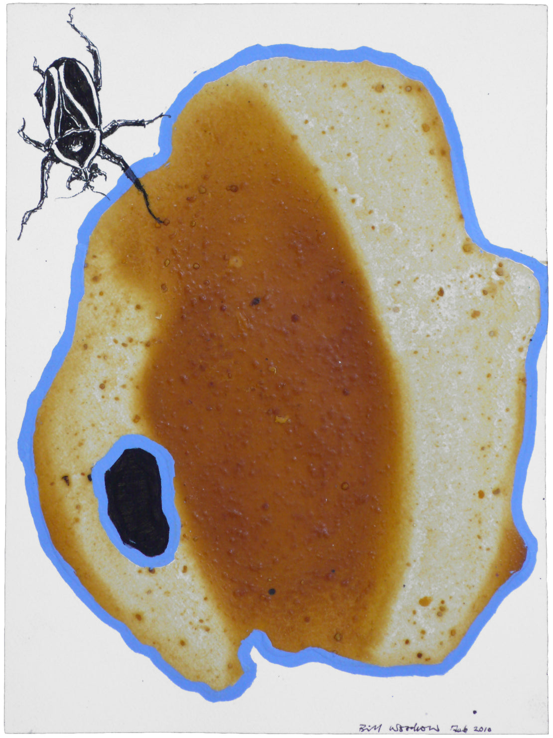 Insect 10
