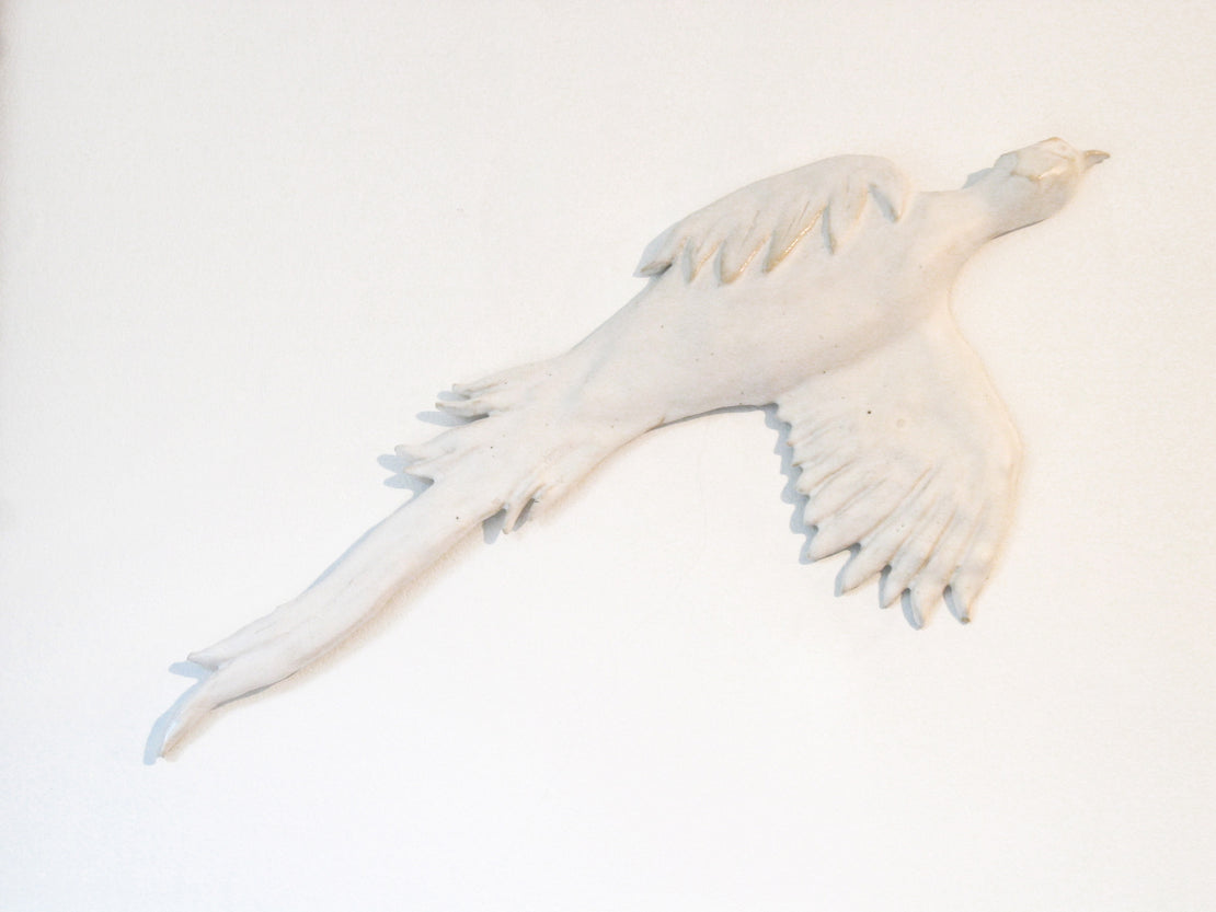 Pheasant