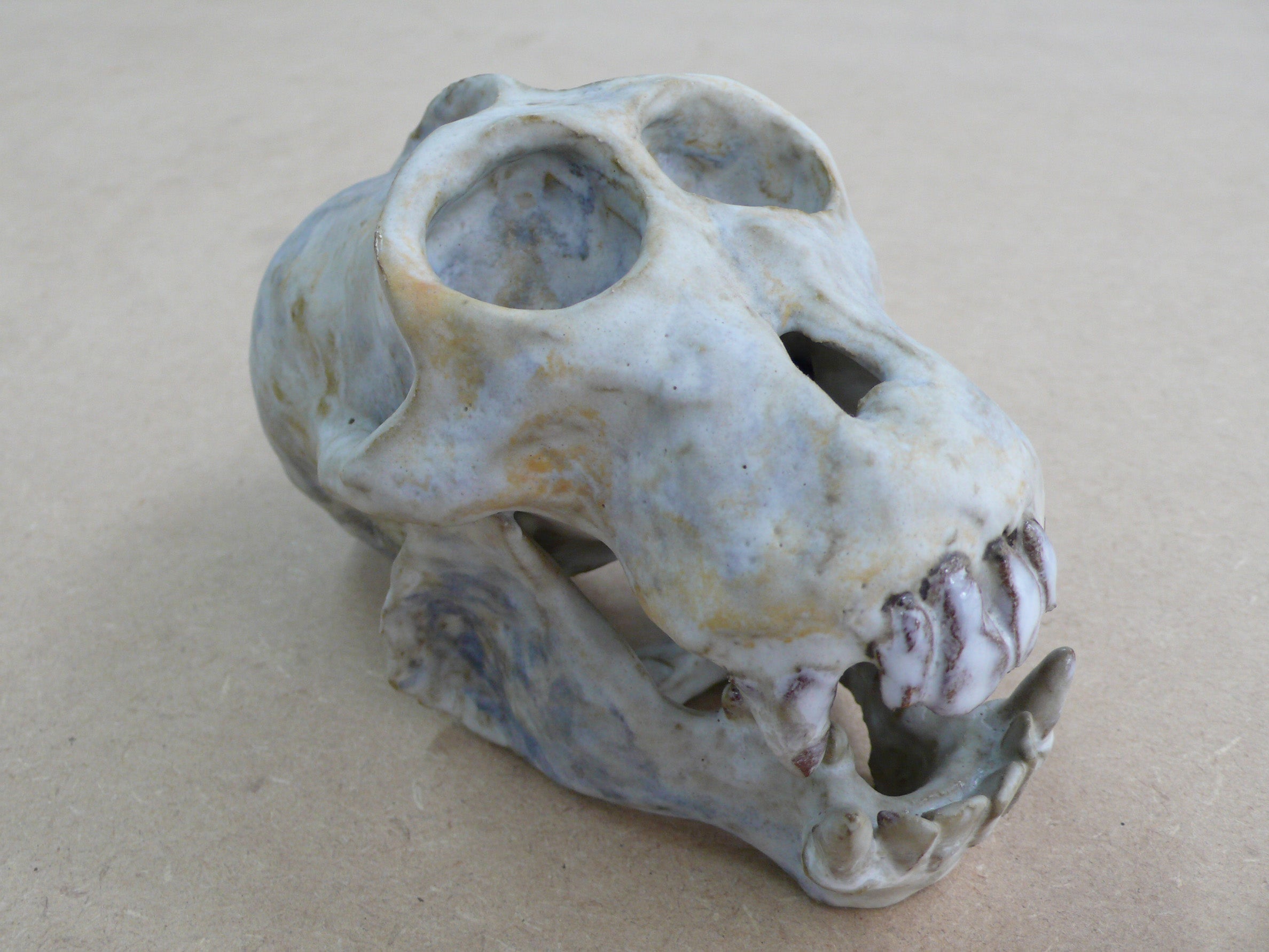 Hybrid Skull 1