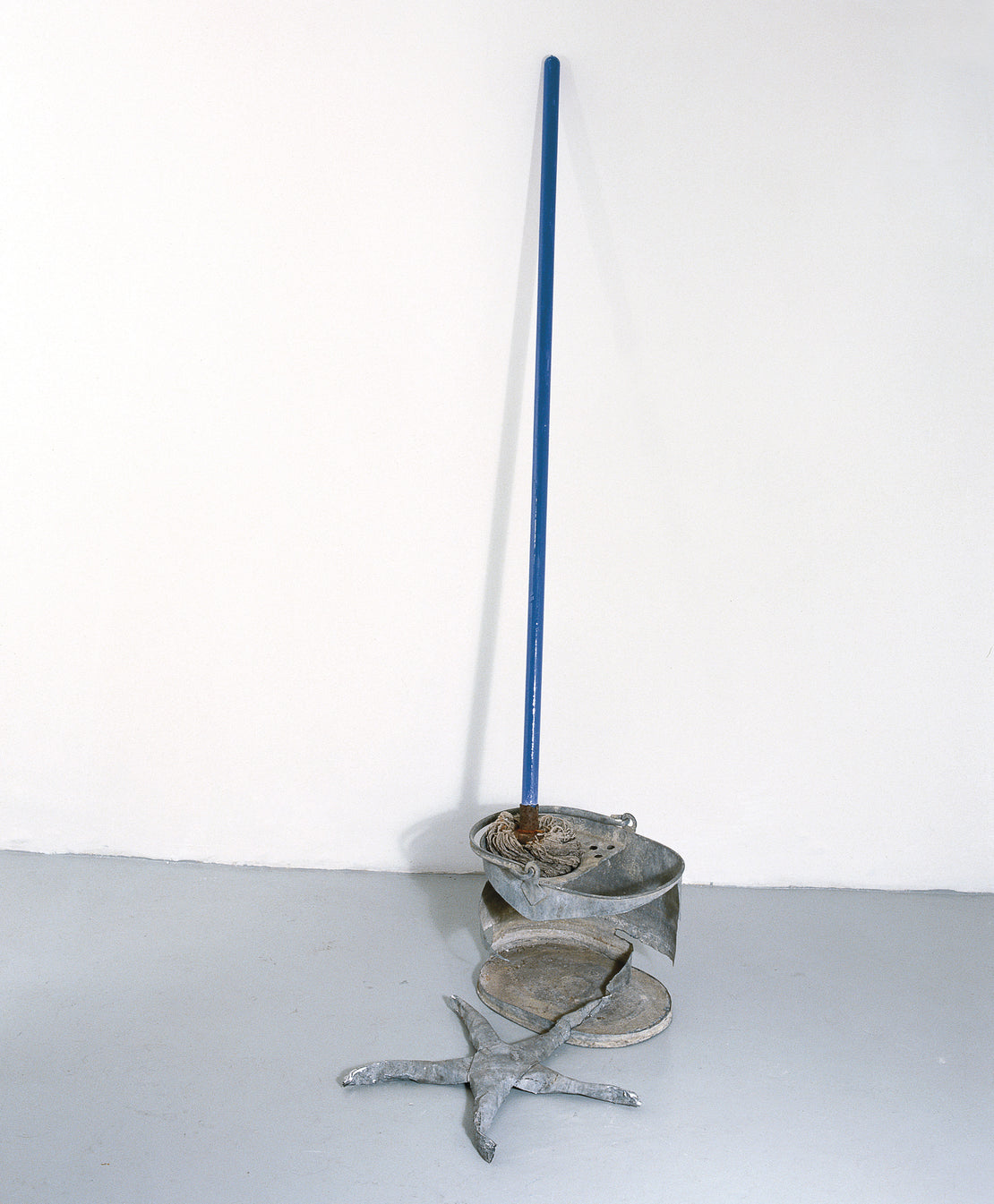 Bucket, Mop and Starfish