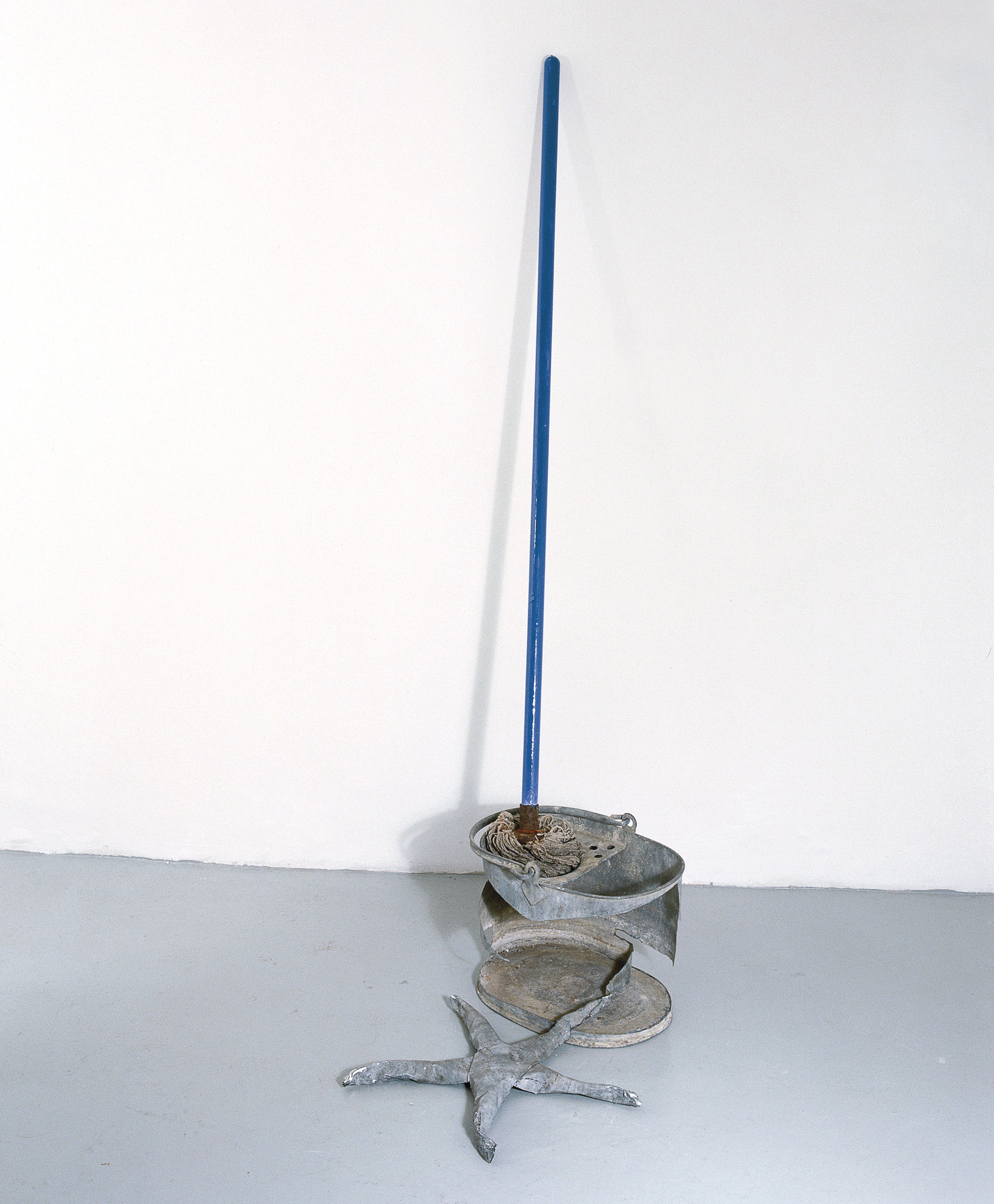 Bucket, Mop and Starfish