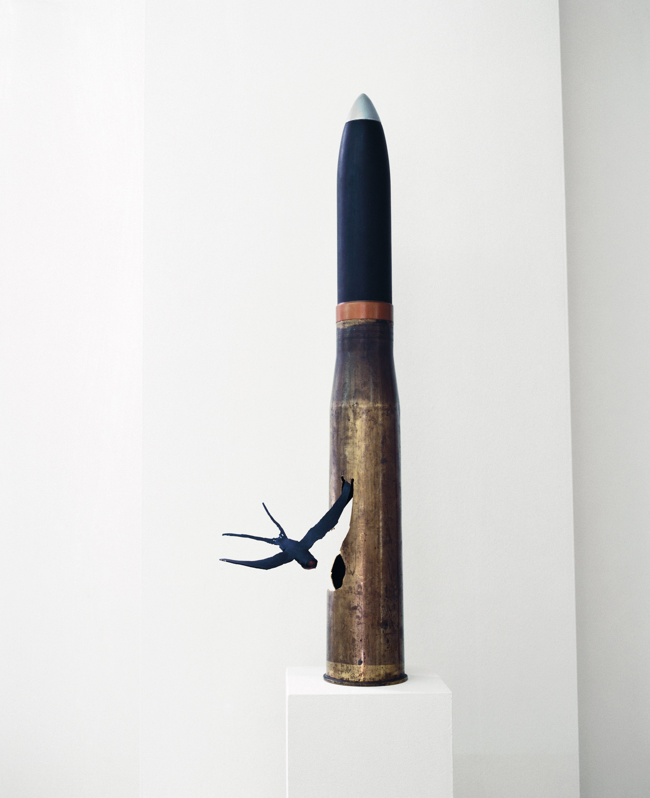 The Swallow