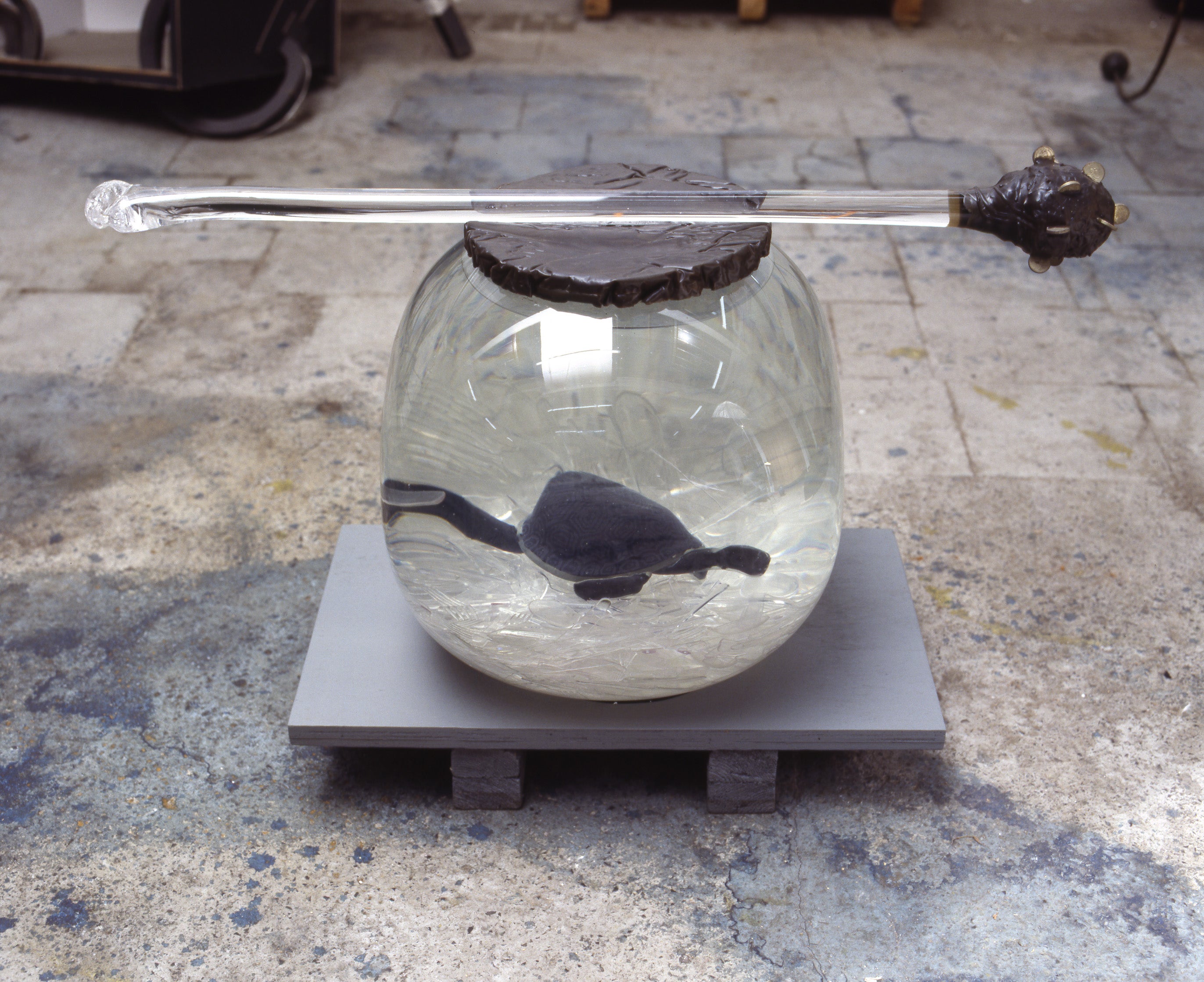 Turtle Tank