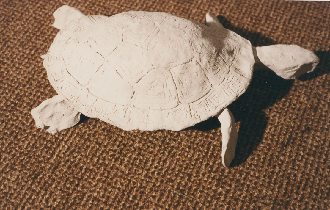 Clay Turtle