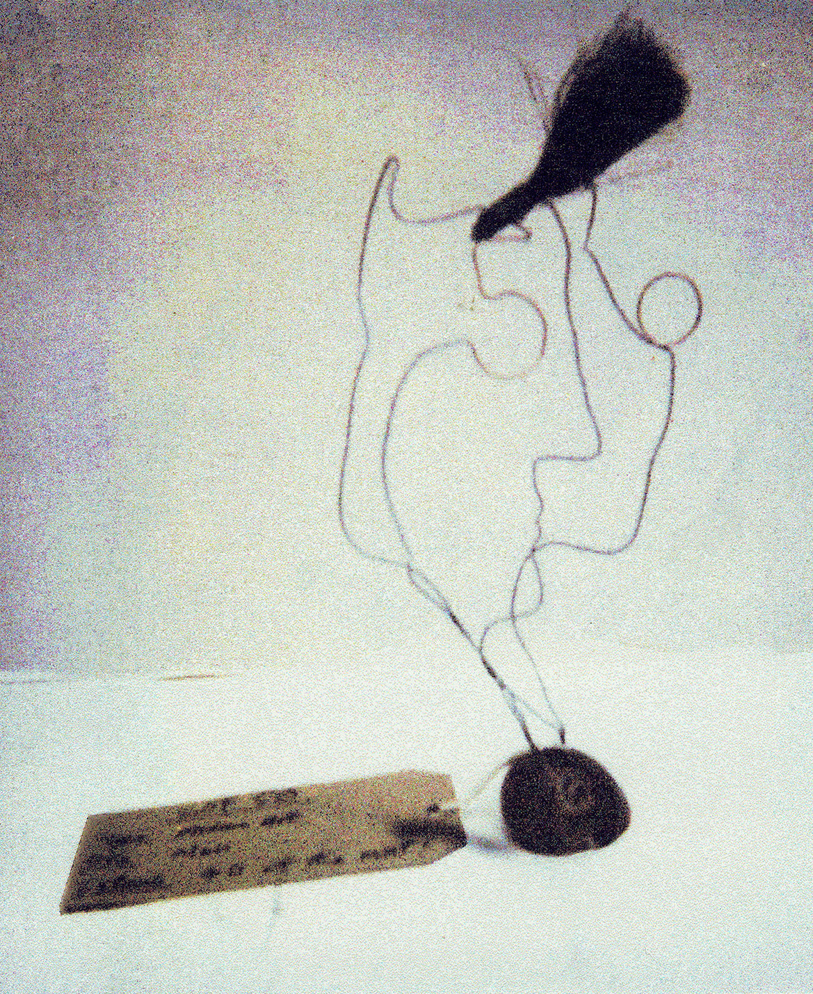 Lot 50