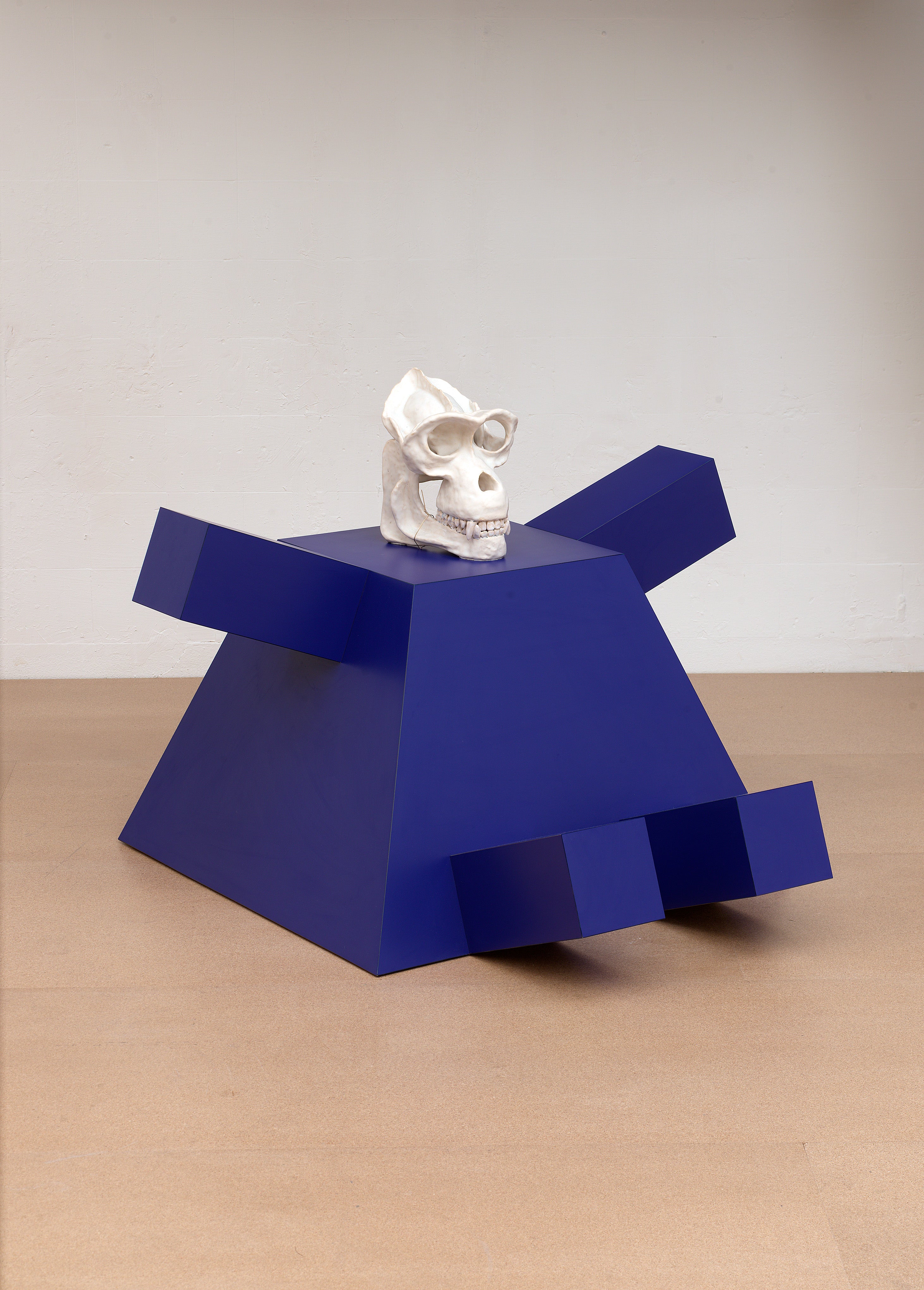 Ultramarine Navigator