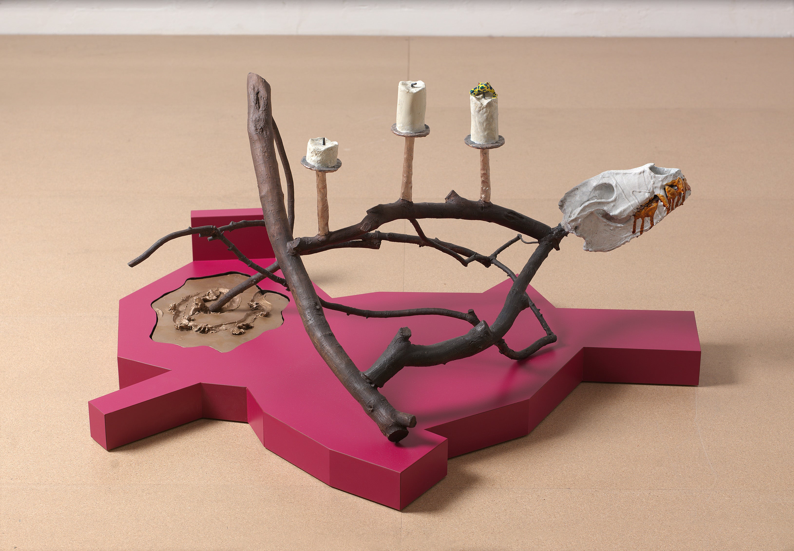 Boysenberry Evaluator