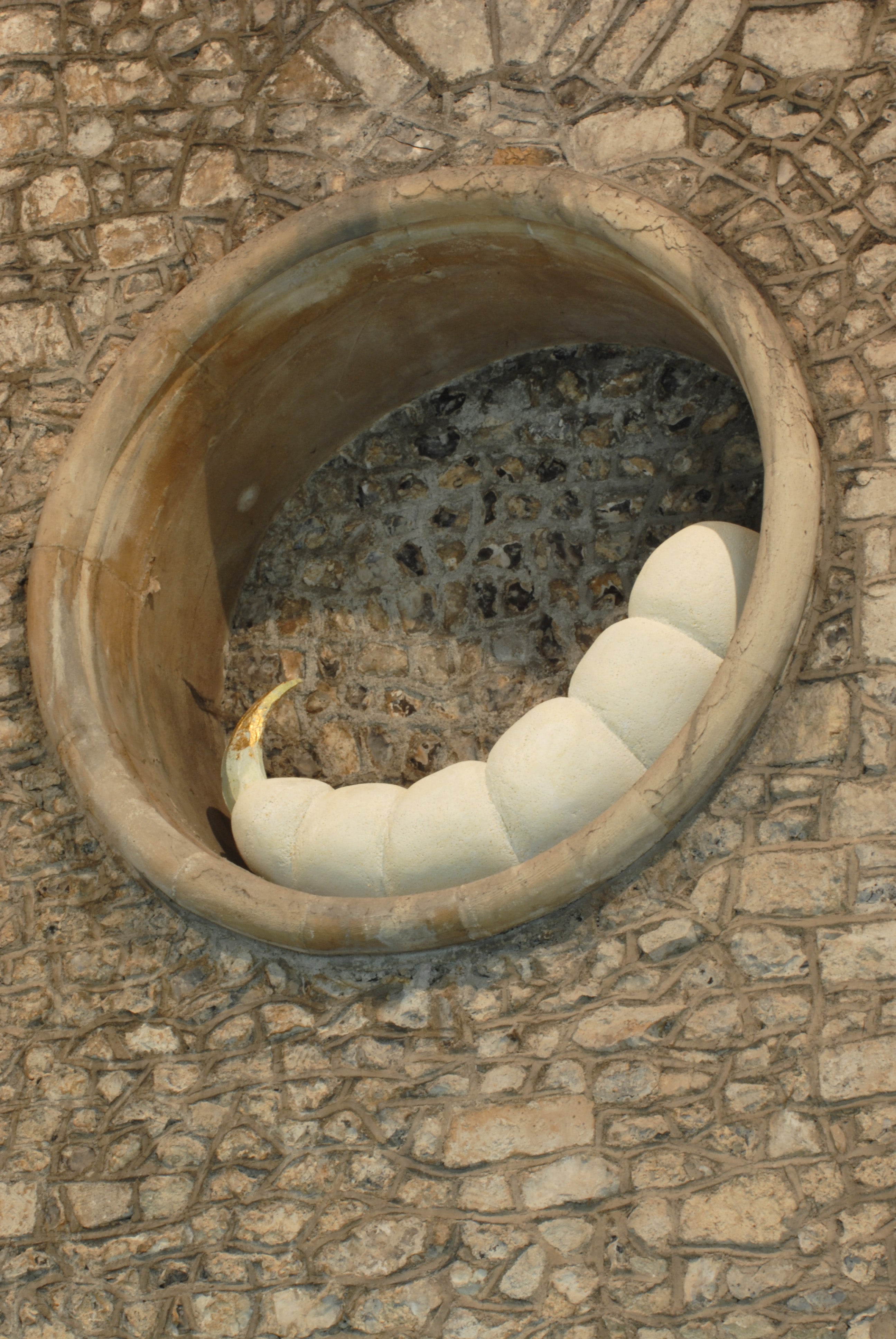 8 Pupae for the Great Hall