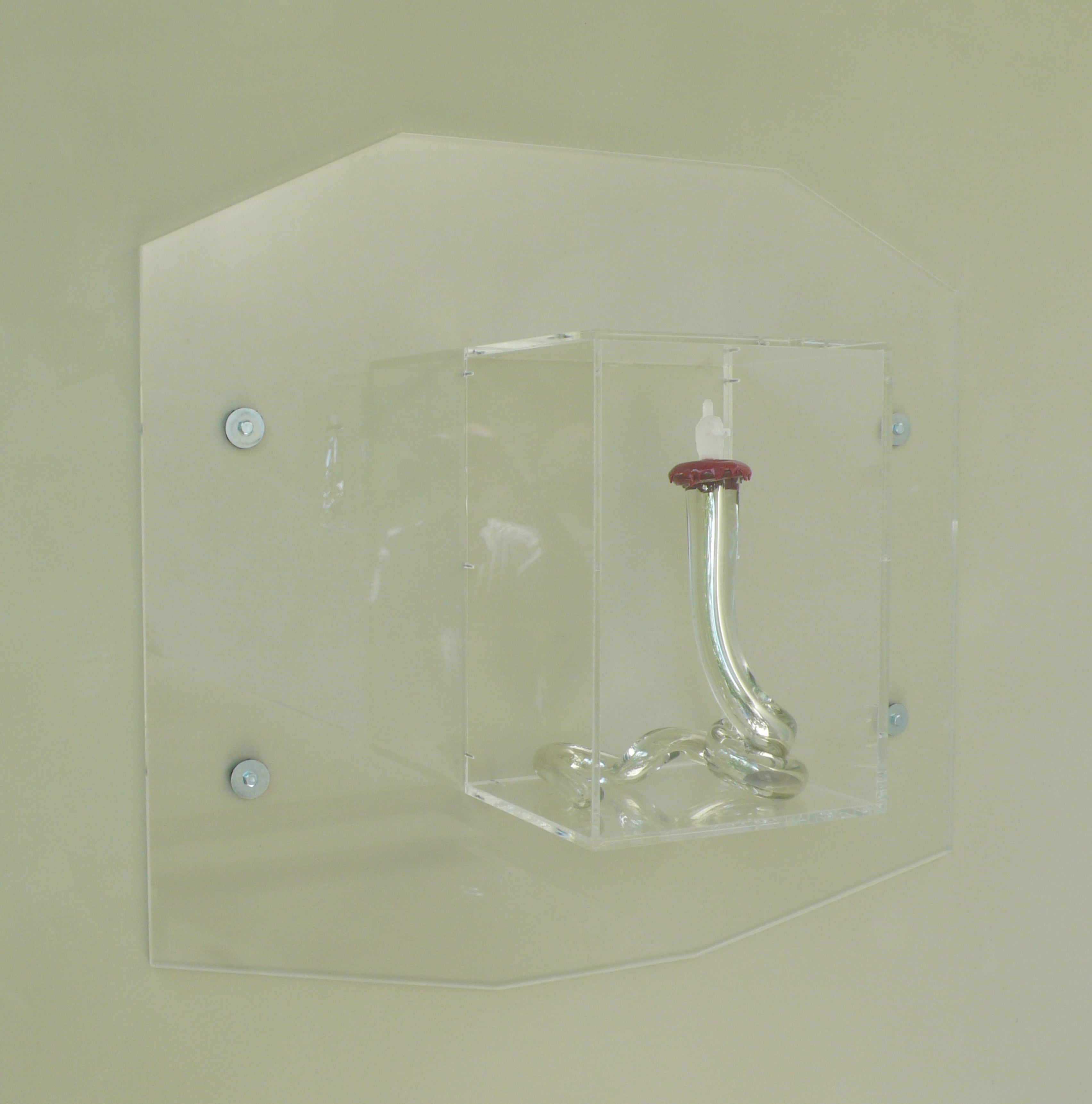 Bouteille de Sorcière 8