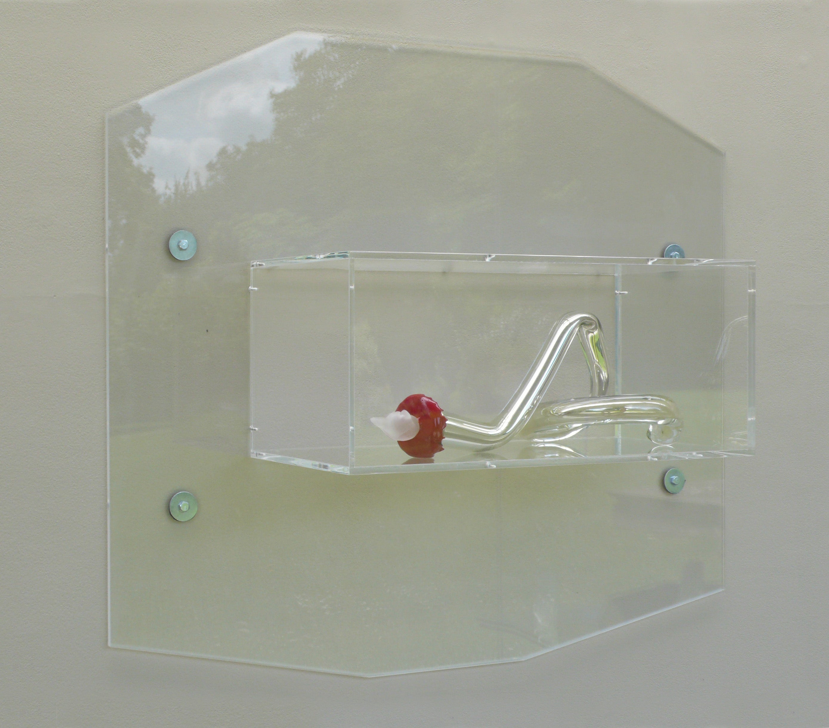 Bouteille de Sorcière 12